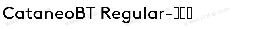 CataneoBT Regular字体转换